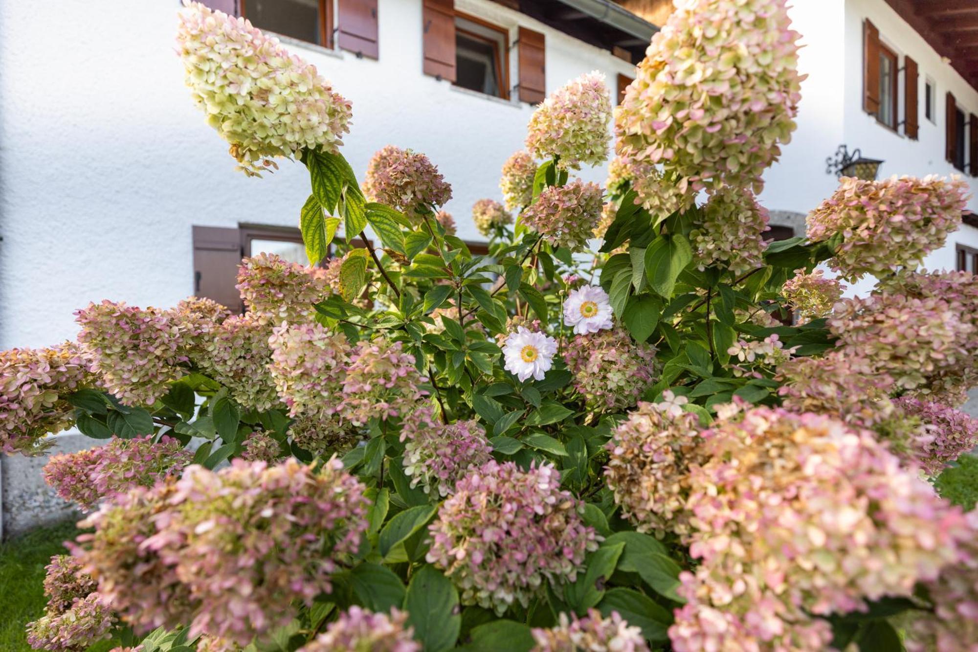 Ferienwohnung Alpenglück Marktschellenberg Exterior foto